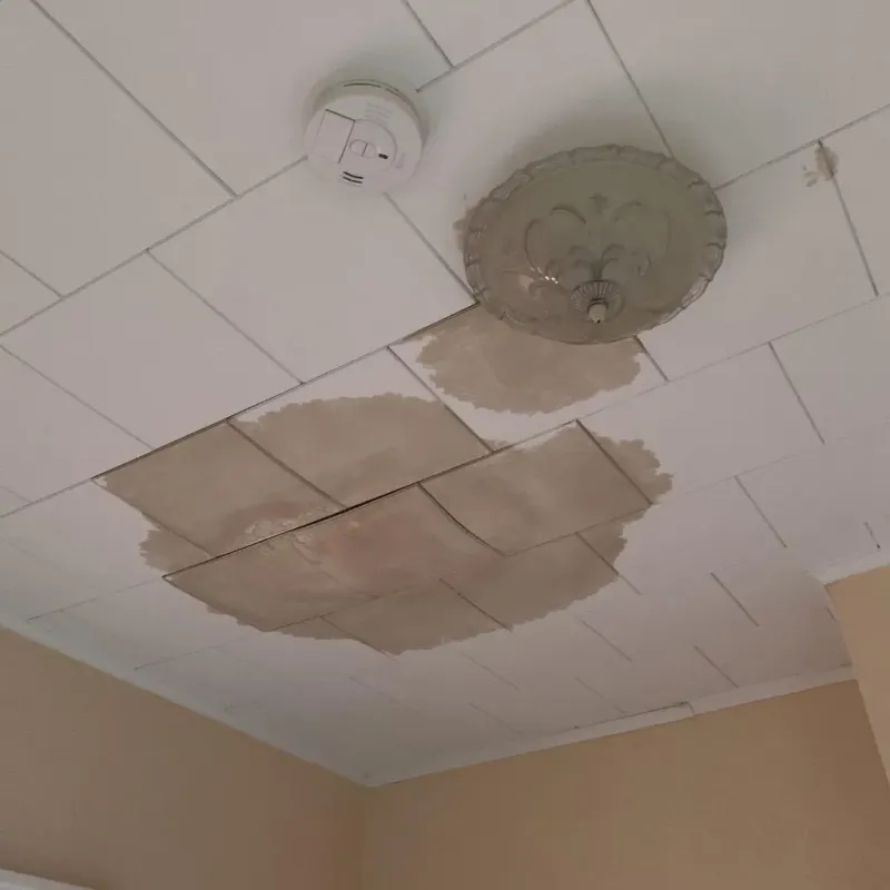 Ceiling Water Damage Repair in Troy, ME