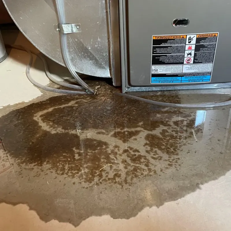 Pipe Burst and Leak Restoration in Troy, ME